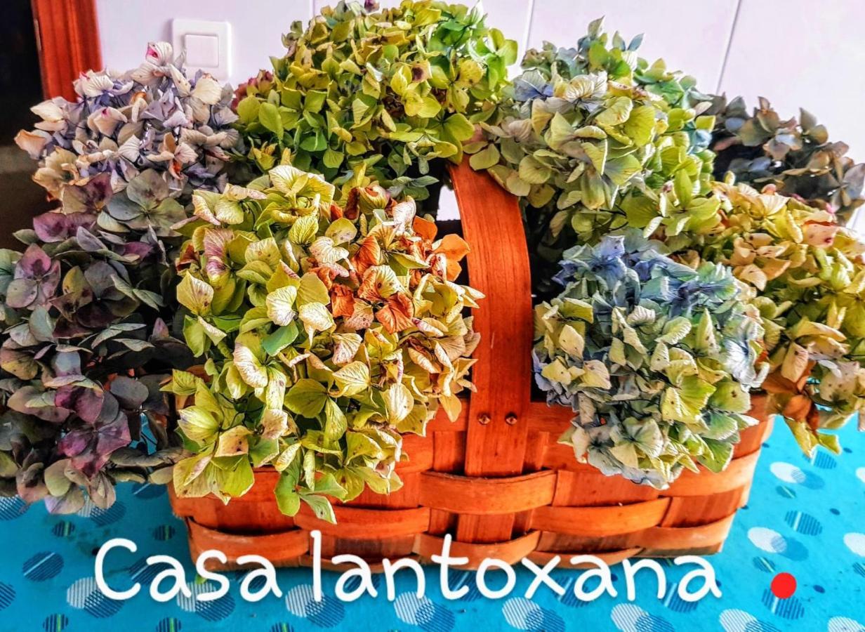 Casa Lantoxana Apartment กิฮอน ภายนอก รูปภาพ